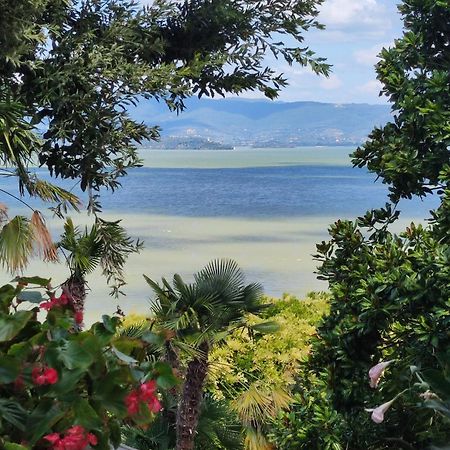 Antica Casa Di Famiglia Hotel Castiglione del Lago Bagian luar foto