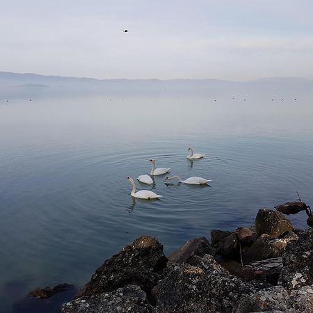 Antica Casa Di Famiglia Hotel Castiglione del Lago Bagian luar foto