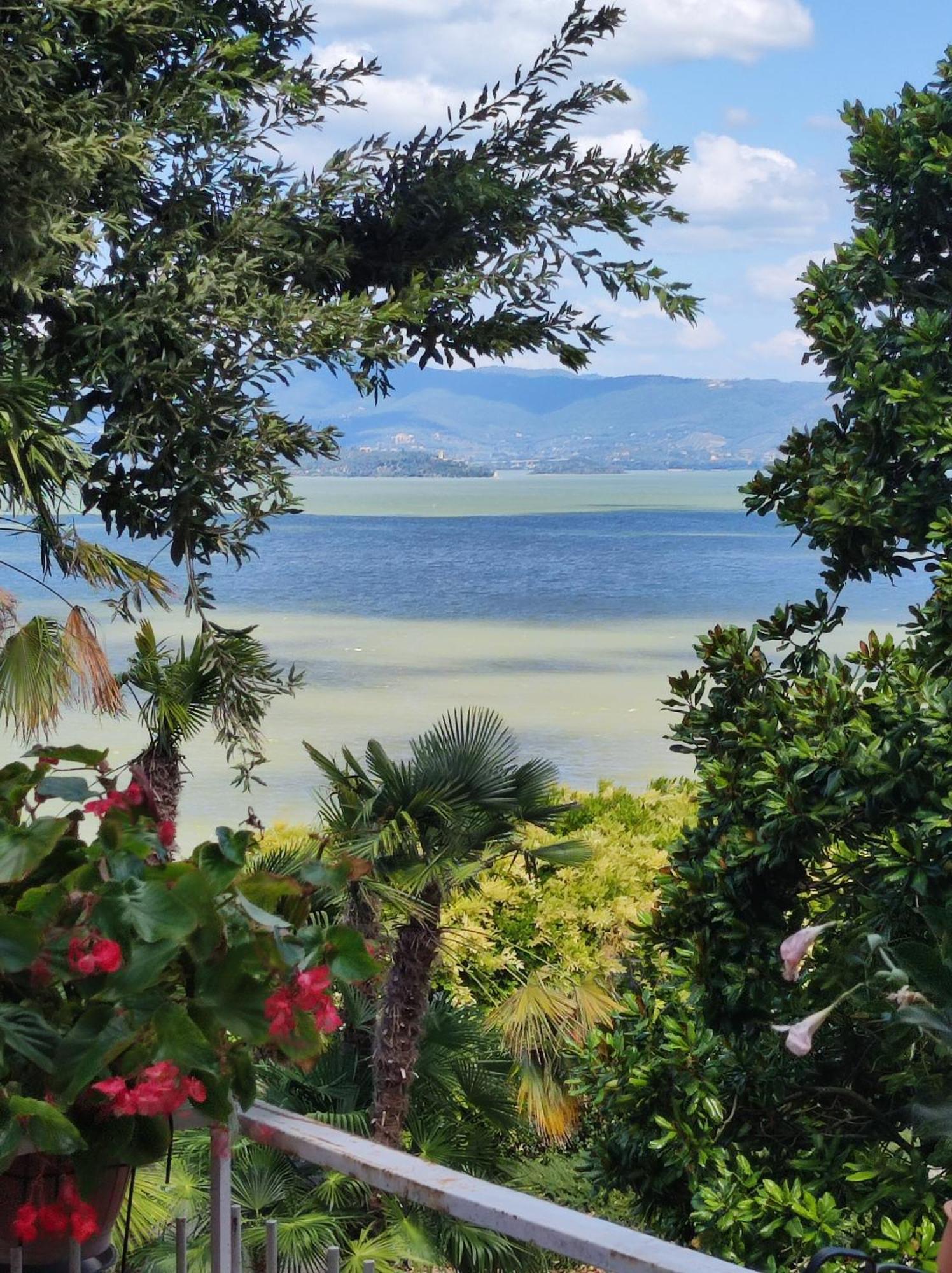 Antica Casa Di Famiglia Hotel Castiglione del Lago Bagian luar foto