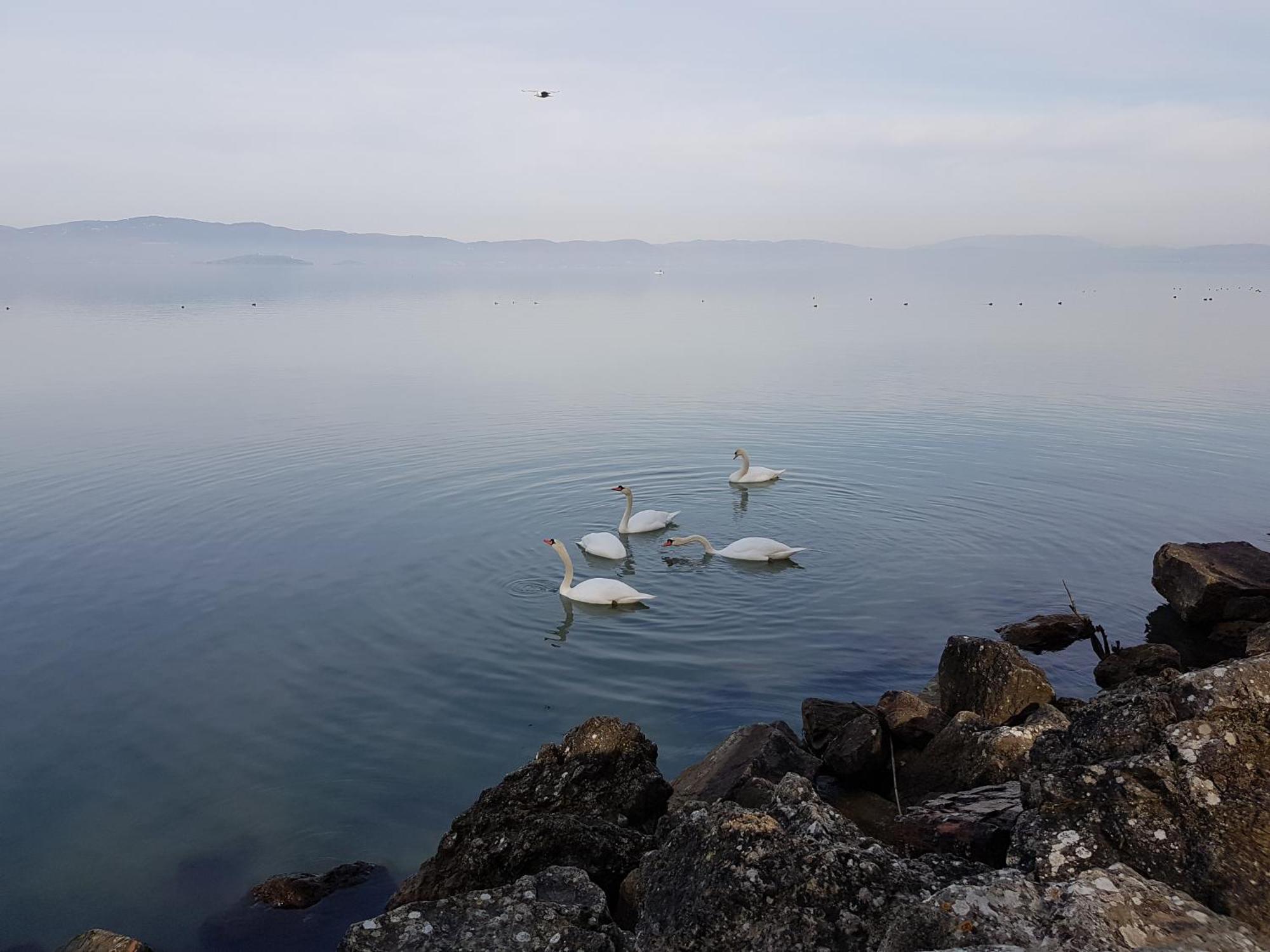 Antica Casa Di Famiglia Hotel Castiglione del Lago Bagian luar foto