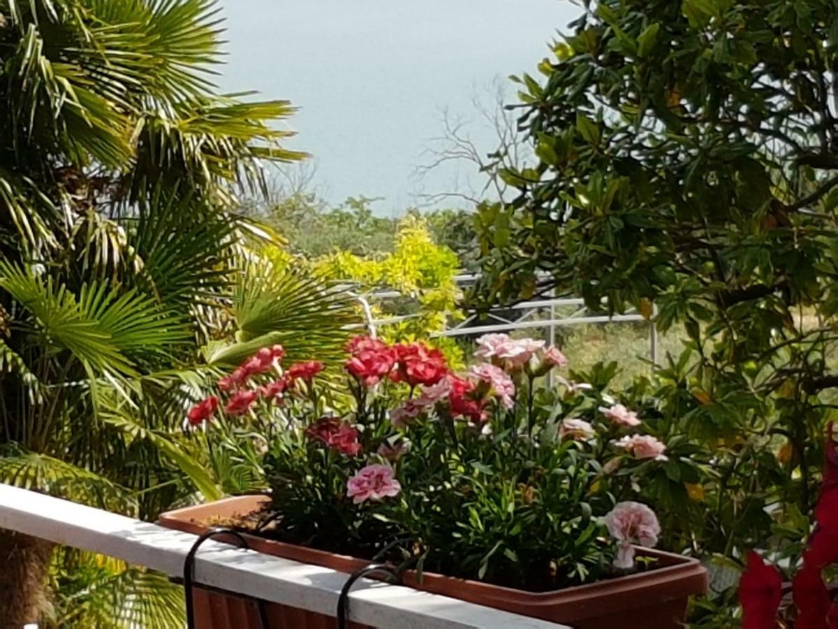 Antica Casa Di Famiglia Hotel Castiglione del Lago Bagian luar foto