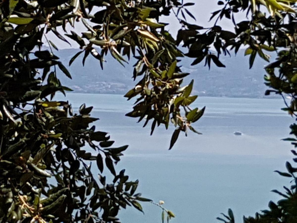 Antica Casa Di Famiglia Hotel Castiglione del Lago Bagian luar foto