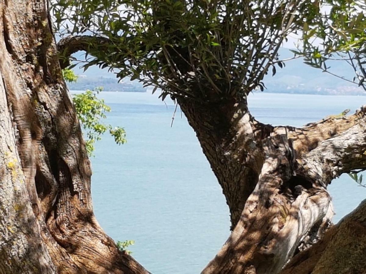 Antica Casa Di Famiglia Hotel Castiglione del Lago Bagian luar foto